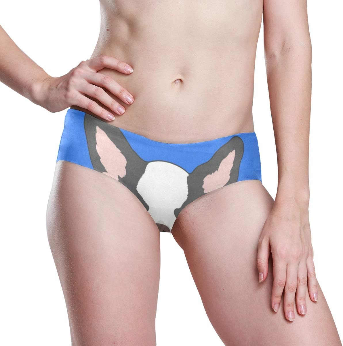 Staring Dog Womens Stretch Seamless Underwear Laser Cut Bikini Panties