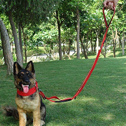 MEIKAI Bungee Dog Leash Chrome Metal Lock Reflective Nylon Pet Leash with 2 Handle and 3 Multifunction D Button Great for Walking, Hiking and Training (Red)
