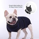 Kuoser Dog Recovery Suit Shirt After-Surgery Blue Stripe XS view 7