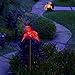 Hummingbird Decor LED Solar Powered Acrylic Lights Color Changing Outdoor Decorations Ornament 3D Garden Gifts Yard Stakes Charm Figurines Statue Decorative Lamp (Set of 2)