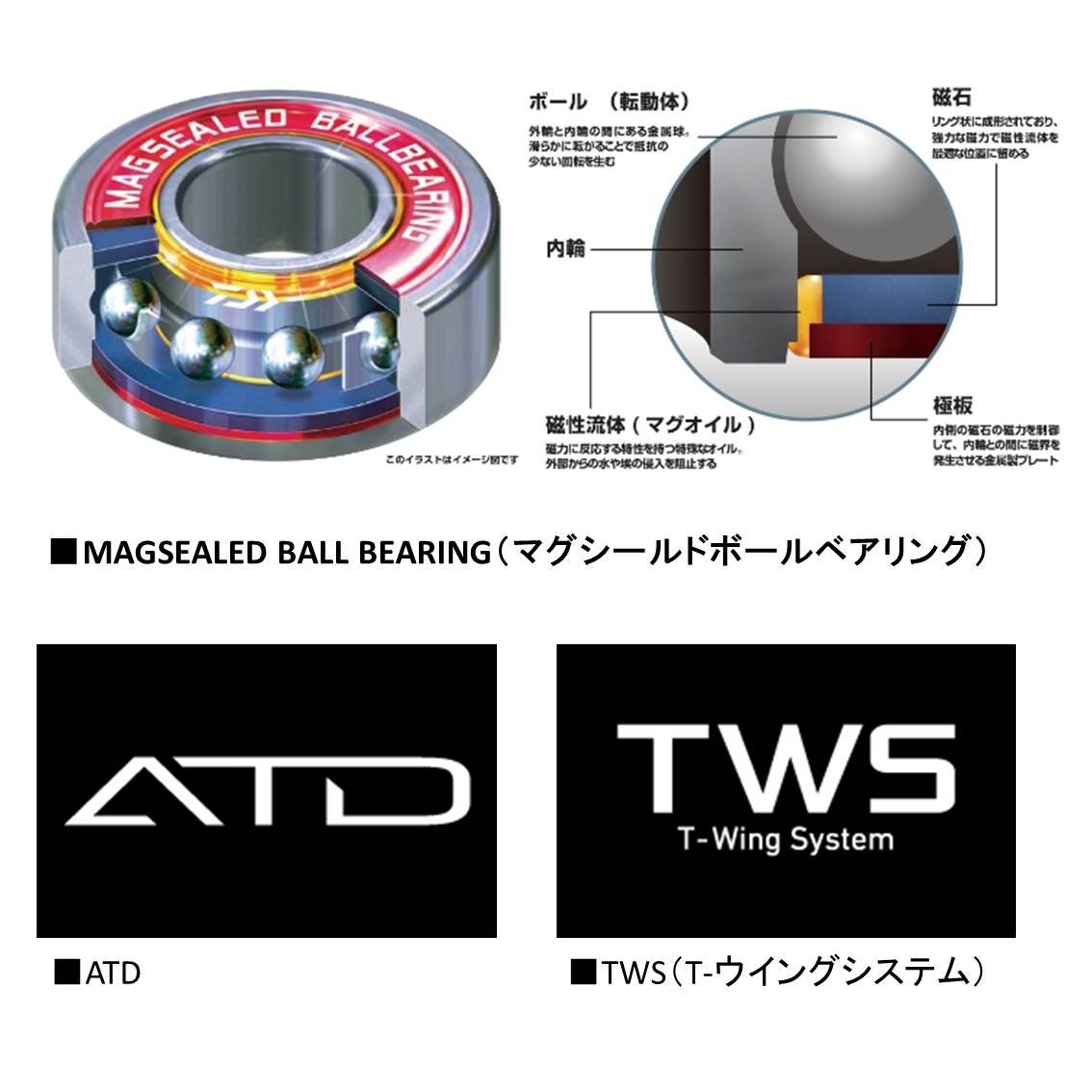 国内初の直営店 ベイトリール 8 6r Tw B078z3h5h5 ハイパーカスタム 紅牙 リール ダイワ 見事な Www Aiq Aiq Com Mx
