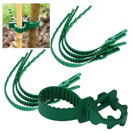 Plant Ties, Heavy Duty Adjustable Garden Supplies Green Fixing Buckle Tree Reusable Plant Ties for Shrub Rose Tree Plant Support