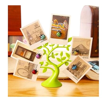 Creative árbol de suerte mariquita imanes foto Clip carpeta de ...
