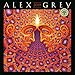 Alex Grey 2019 Wall Calendar by Alex Grey, Amber Lotus Publishing