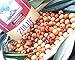 Holy Land POLISHED OliveWood beads Jewelry 6mm holy land beads (60 Beads)