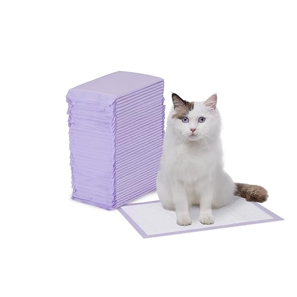 AMAZON BASICS CAT LITTERS PEE PADS, 40 COUNT, UNIVERSAL FIT FOR LITTER BOX, ODOR CONTROL WITH FRESH SCENT, PURPLE AND WHITE