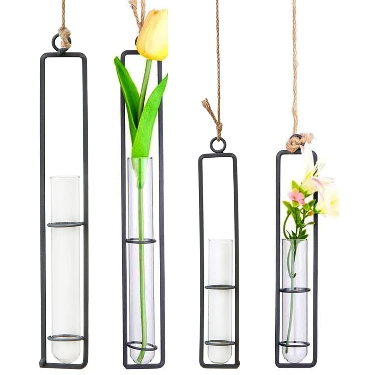 Jicyor Wall Hanging Plants Glass Vases 4 Pieces Black Test Tube Flower Vases Hanging Planter Terrarium Creative Wall Hydroponic Plants Decor For Home Office Wedding Decoration Water Container