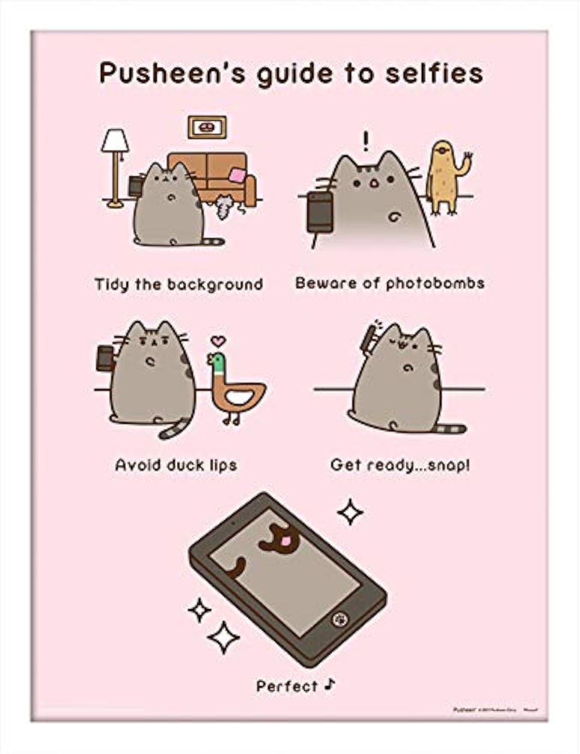 Pusheen (Guide To Selfies 30 x 40cm Memorabilia
