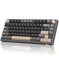 RK ROYAL KLUDGE M75 Wireless Mechanical Keyboard