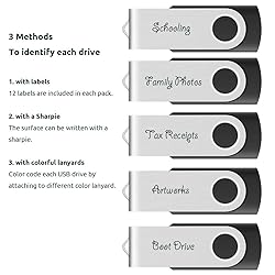 10-Pack Enfain 16GB USB 2.0 Swivel Flash