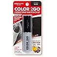 Absolute New York Color 2 Go - Instant Root Touch Up Hair Stick (HCHS02 Black, .21 oz)