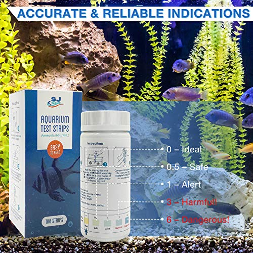 Aquarium Ammonia Test Strips Fast and Accurate Water Quality Ammonia