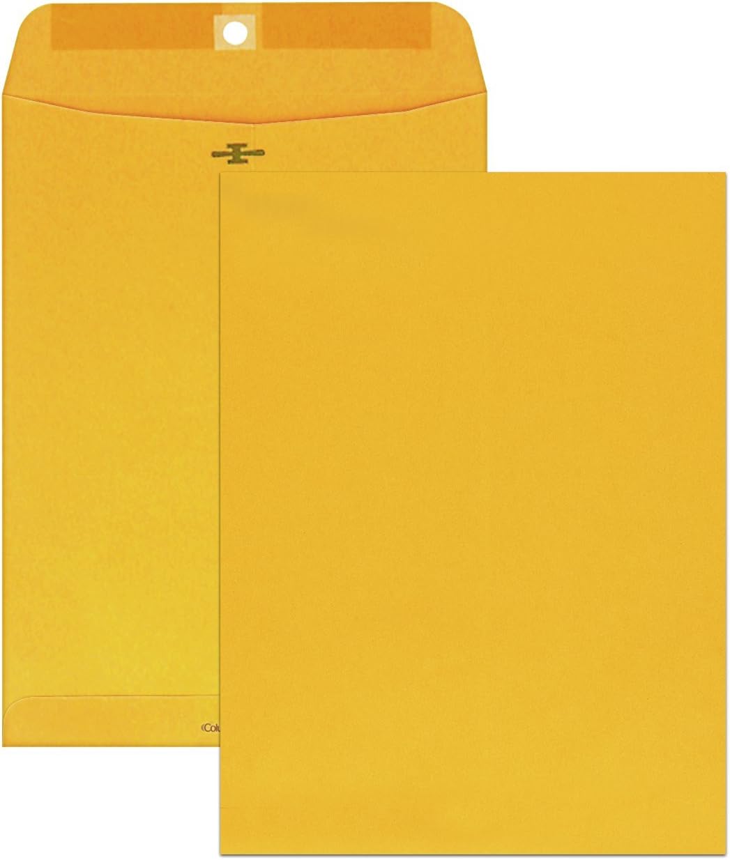 Columbian Clasp Envelopes, 9 x 12 Inches, Brown Kraft, 100 Per Box (CO790) : Large Envelopes : Office Products