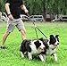 Double Dog Leash for Two Dogs - No Tangle, Comfortable Shock Absorbing Reflective Bungee Leash