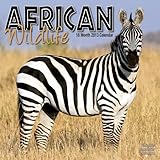 African Wildlife 2013 Wall Calendar #30100-13 by