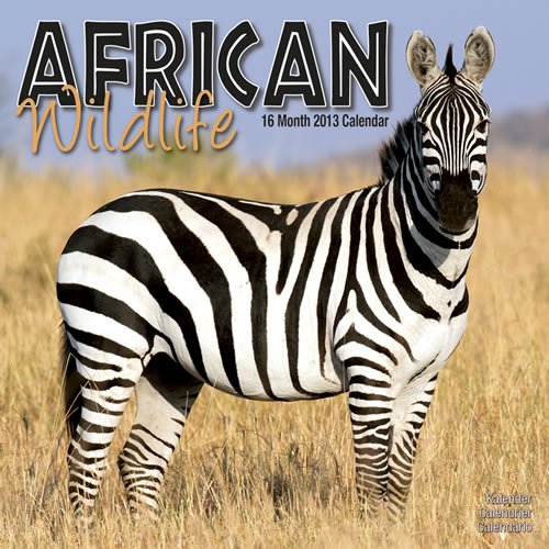 African Wildlife 2013 Wall Calendar #30100-13 by 