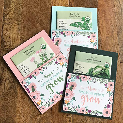 Timber Green / DARK GREEN Cardstock Paper 8.5 x 11 inch PREMIUM 80 LB