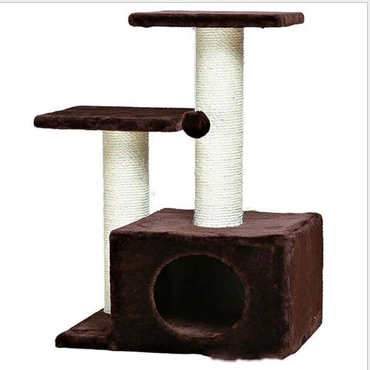 indoor cat climbing tree