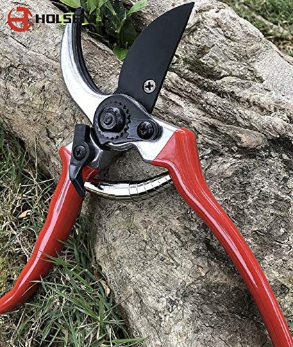 8” Professional Garden Bypass Secateurs, Pruning Scissors, Tree Trimmers, Hand Pruner, Garden Pruner, Gardening Scissors with Safety Catch