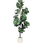 Realead 6ft Fiddle Leaf Fig Tree Artificial with White Exquisite Planter | Faux Fiddle Leaf Fig Tree with UV Resistant, Natural Trunk, Lifelike Leaves - Fake Fig Tree for Home Indoor Outdoor Decor