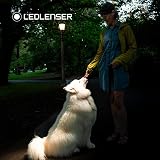 Ledlenser HF4R Core Rechargeable Head Torch 500 lm IP68 USB-C view 5