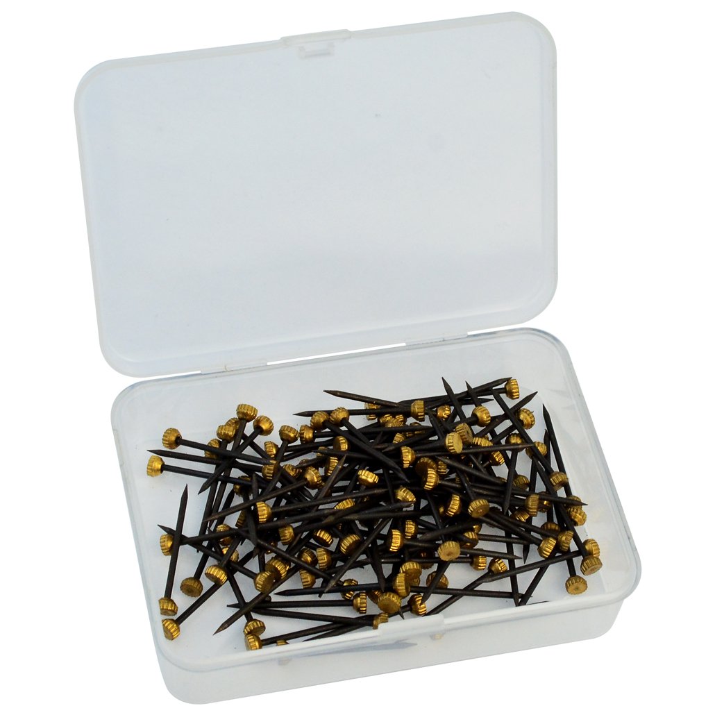 120 Pcs Brass Head Pins, Rbenxia 1 Inch Picture Pins Photo Hook Hangers Nails Hardened with Plastic Box, Black
