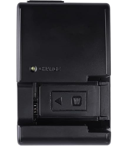 Amazon.com : Sony BC-VW1 Quick Charger for Sony W Series