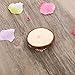 NUOLUX Wood Slices Wood Disc Log Slices for DIY Crafts Wedding Centerpieces 7-9CM 10pcs