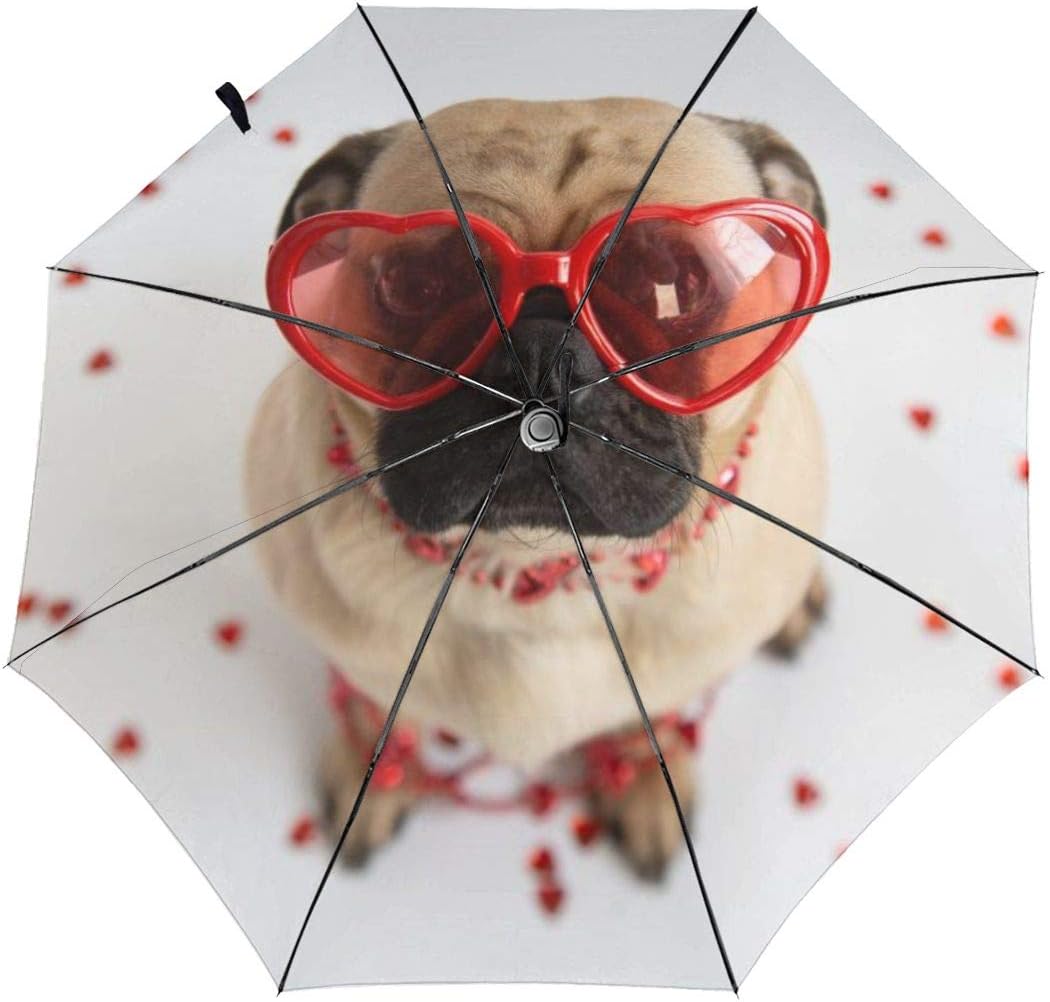 pugs folding sunglasses