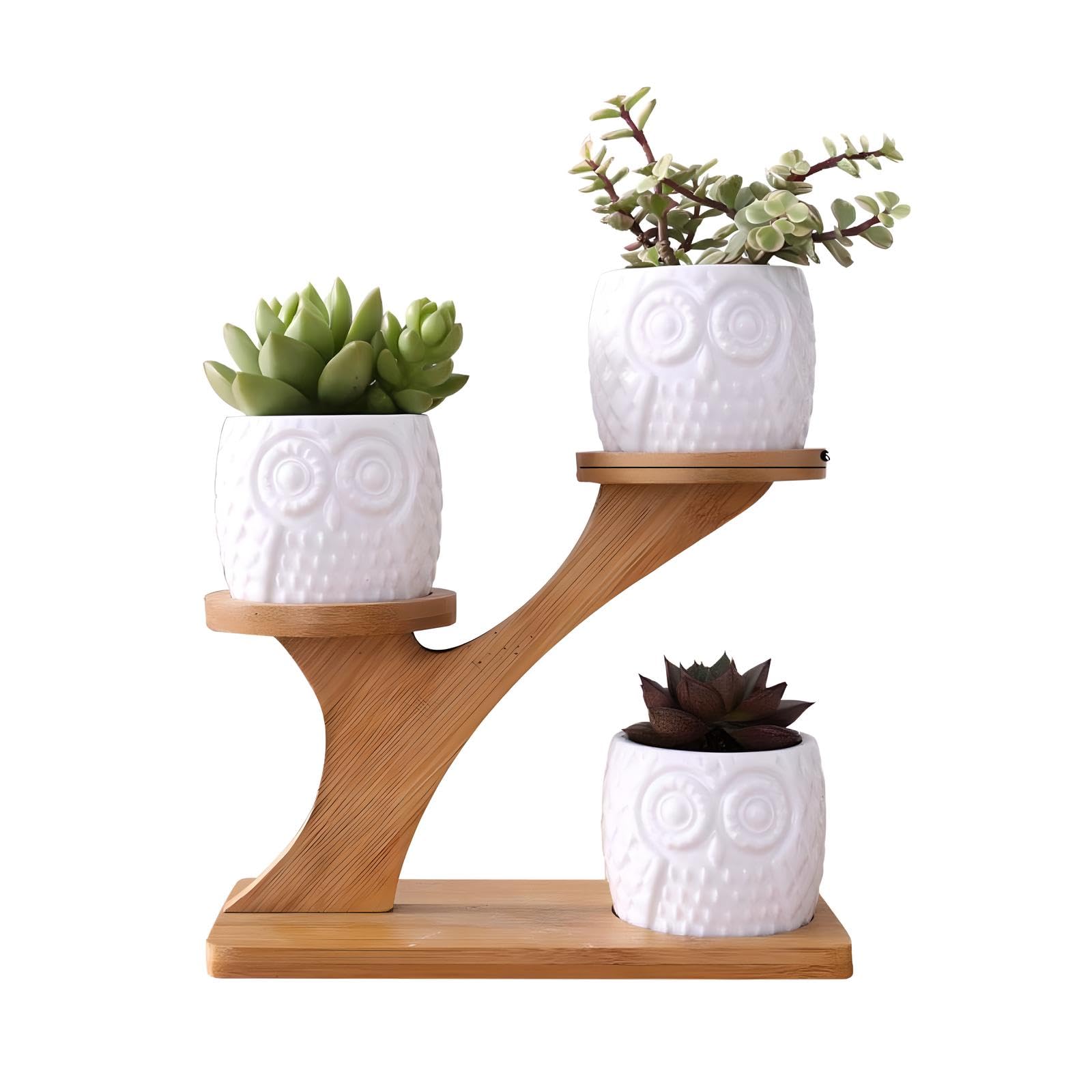 Milky Way 3Pack Succulent Pots,Owl Succulent Plant Pot Ceramic Garden Plant Pots Mini Flower Pots with Bamboo Tray for Home Office Desk (Three piece)