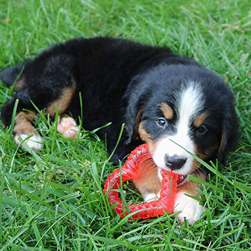 snuggle kitty replacement heart