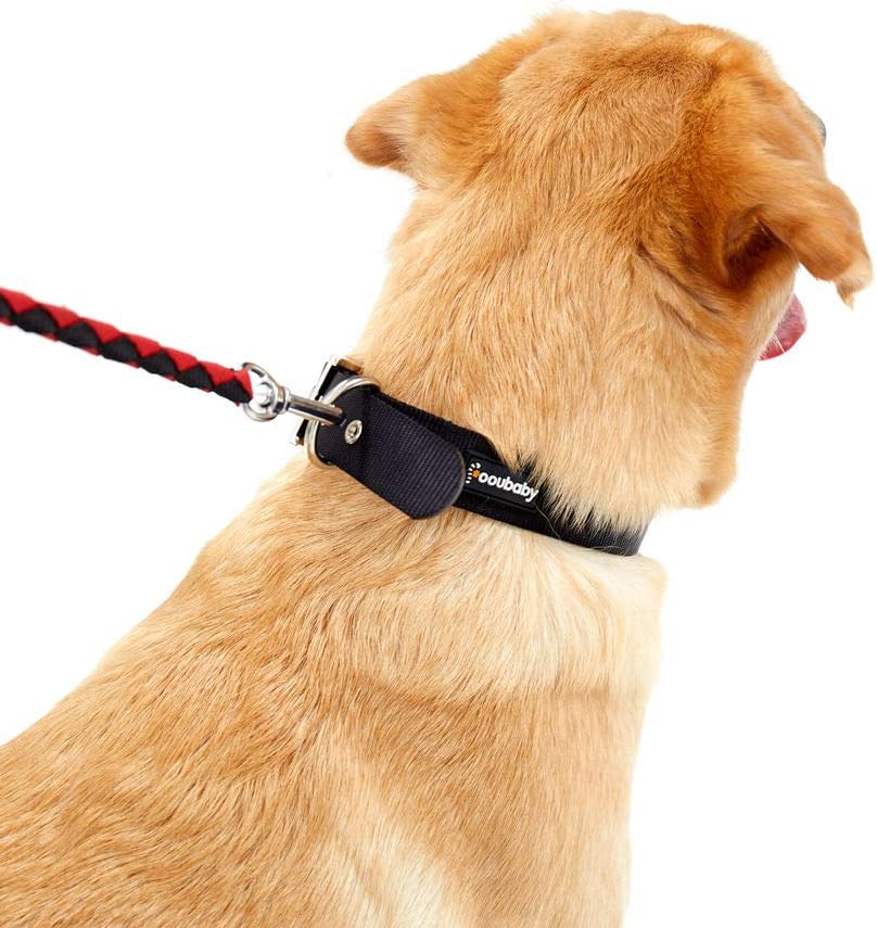 Fooubaby Nylon Buckle Dog Collar Solid Color Adjustable for