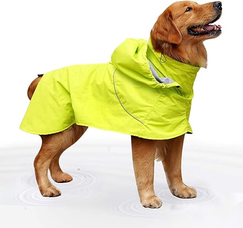 amazon dog raincoat