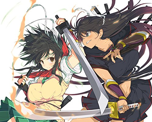 閃乱カグラ Burst Re:Newal』店舗特典・最安値情報！《PS4》店舗別 