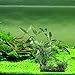 GTidea Aquarium Ornament Large Fish Tank Plastic Underwater Plant Silk Green Grass Leaves for Home Office Saltwater Freshwater Tropical Tank Decorations in 12.4 Inch