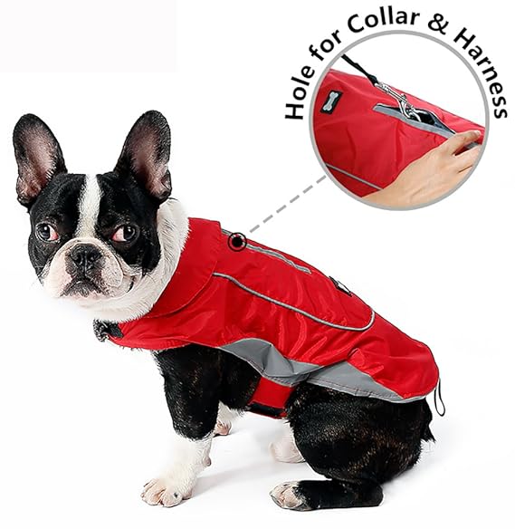 Premium Outdoor Sport Waterproof Dog Jacket Winter Warm Large Dog Coat