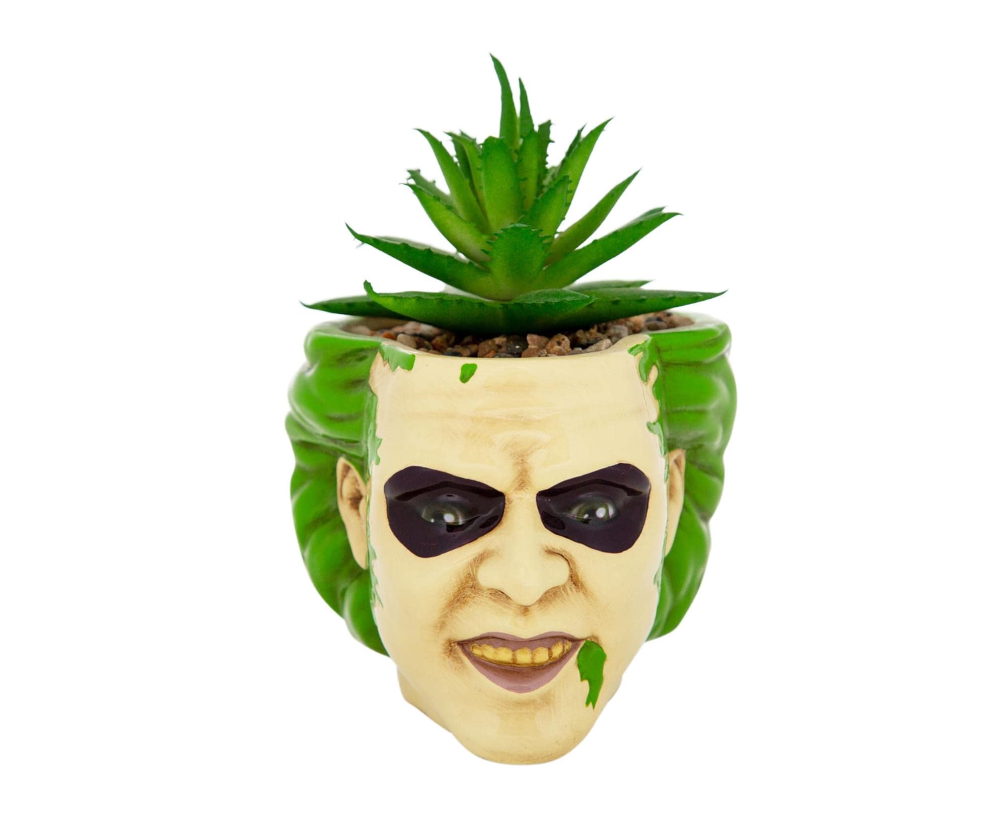 Toynk Toys, LLC Beetlejuice Head 3-Inch Ceramic Mini Planter with Artificial Succulent