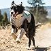 Ruffwear Cooling Vest for Dogs, Very Small Breeds, Size: X-Small, Graphite Grey, Swamp Cooler, 05402-033S1