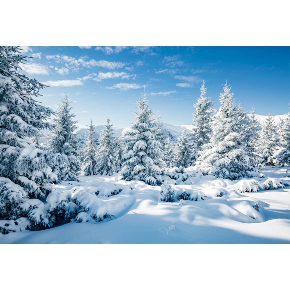 Aoihrraan 10x6,5ft Snow Landscape Backdrop Pine Tree White Snowland Winter Wonderland Photography Background Family Outdoor Party Decor Banner Children Adults Artistic Portrait Photo Studio Props