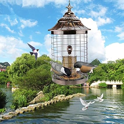 Amazon Com Outdoor Bird Feeder Bird Feed Container Bird Feeder