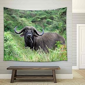 Cape Race Buffalo in Ngorongoro Conservation Area, Tanzania - Fabric Wall Tapestry Home Decor - 51x60 inches