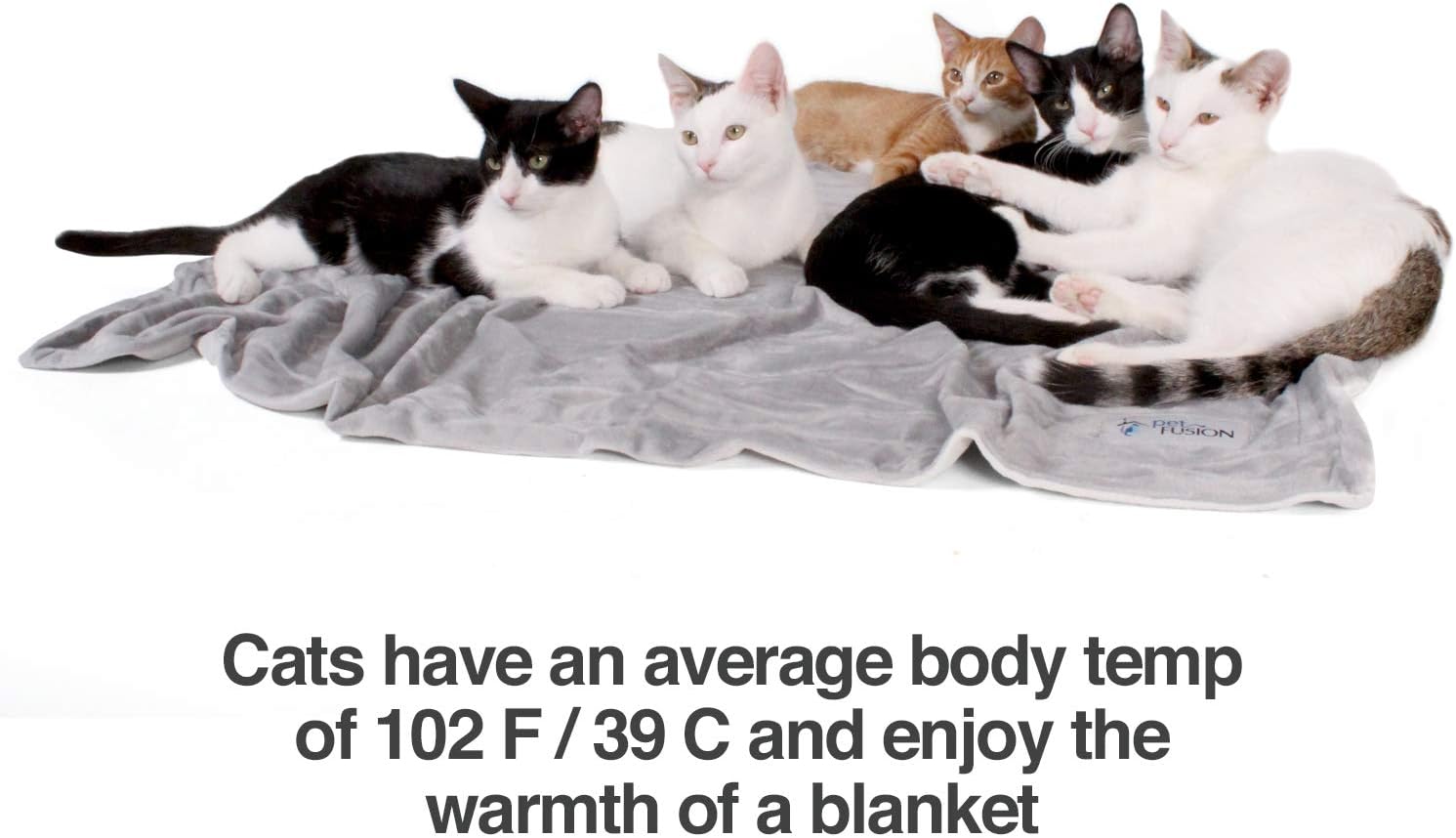 PetFusion Premium Pet Blanket, Multiple Sizes for Dogs & Cats. [Reversible Micro Plush]. 100% Soft Polyester, Gray, Medium (44 x 34) (PF-PB2A) : Pet Supplies