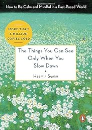 The Things You Can See Only When You Slow Down: How to Be Calm and Mindful in a Fast-Paced World