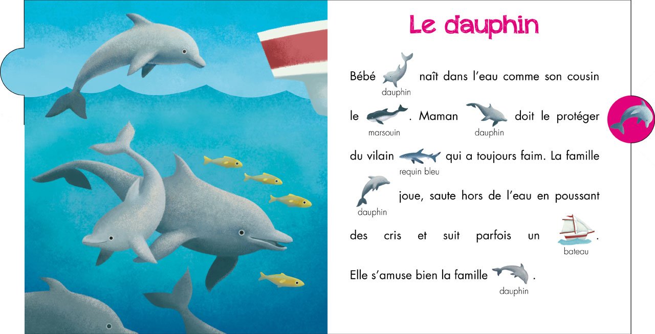 Les Animaux De La Mer Lis Avec Moi Barbetti Yvette Le Ray Marina Amazon Com Books