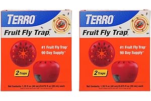 TERRO Fruit Fly Traps for Indoors (4 Pack) + 180 Days of Lure Supply