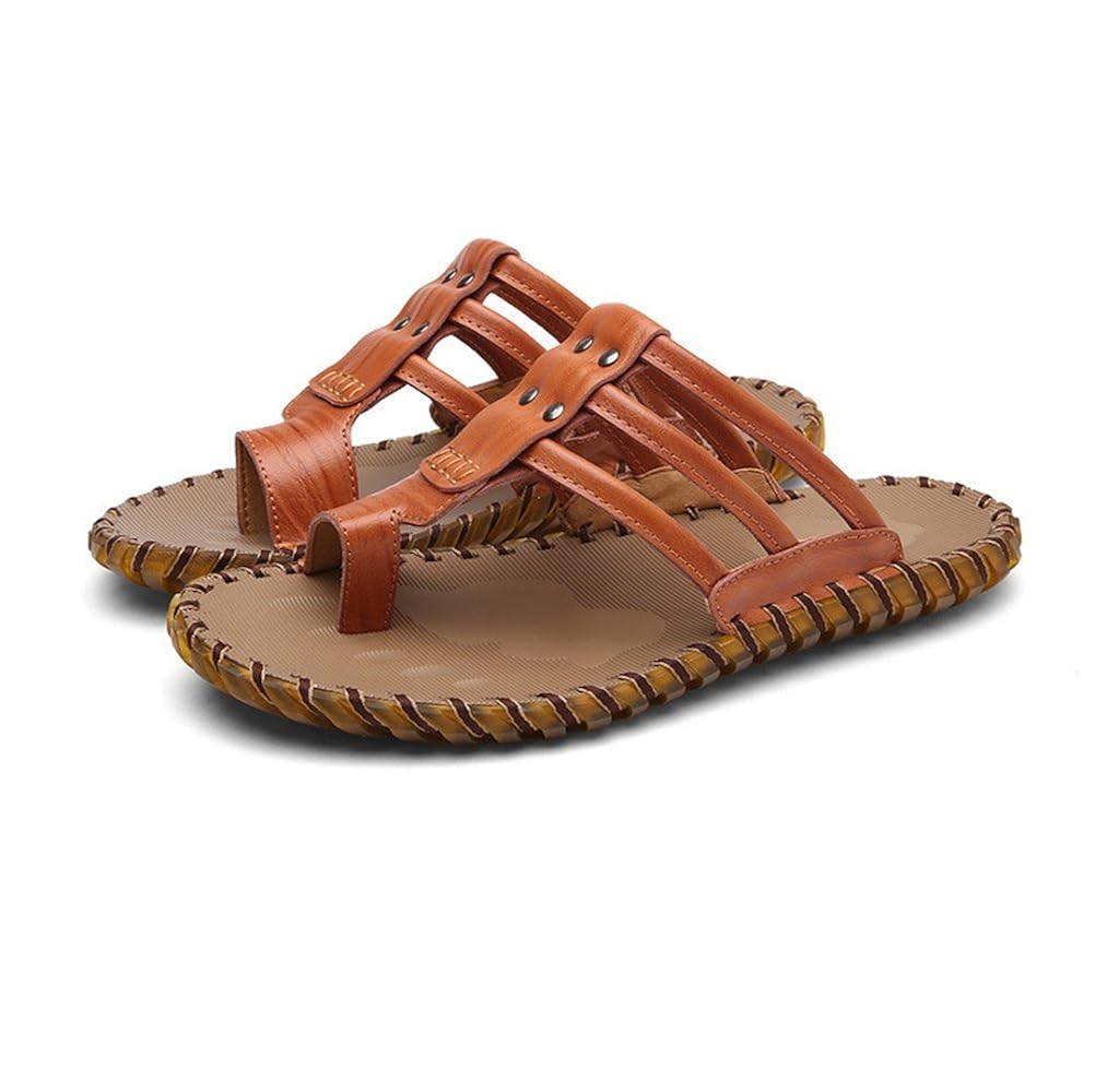 plantare hogan interactive