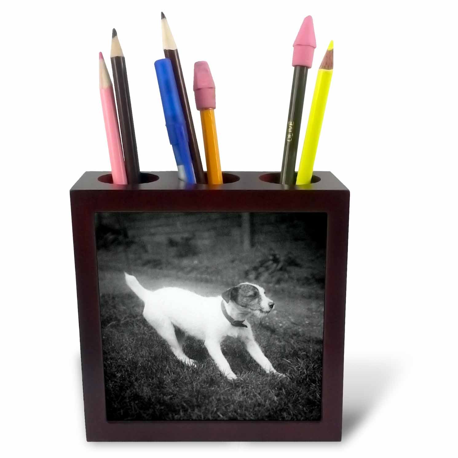 3dRose ph_246045_1 5-Inch Vintage Cute Young Jack Russell Terrier Puppy Circa 1910 Magic Lantern Tile Pen Holder