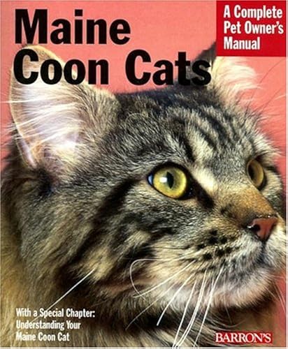 Maine Coon Cats Complete Pet Owner S Manual In Dubai Uae Whizz Breeds