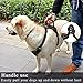 Lifepul Front Clip No Pull Dog Vest Harness - Dog Body Padded Reflective Vest with Handle - Oxford Material Vest for Dogs Comfort Control for Small Medium Large Dogs in Training &Walking