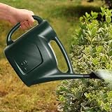 Accurate 6L Watering Can with Sprinkler Rose Green garden tool view 4